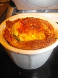 Egg Nest